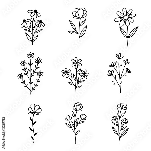 Fototapeta Naklejka Na Ścianę i Meble -  Flowers. Set of sketches of different summer flowers. Hand drawn botanical illustration. Outline drawing. Line vector illustration.  Isolated on white background. Good for posters, t shirts, postcards