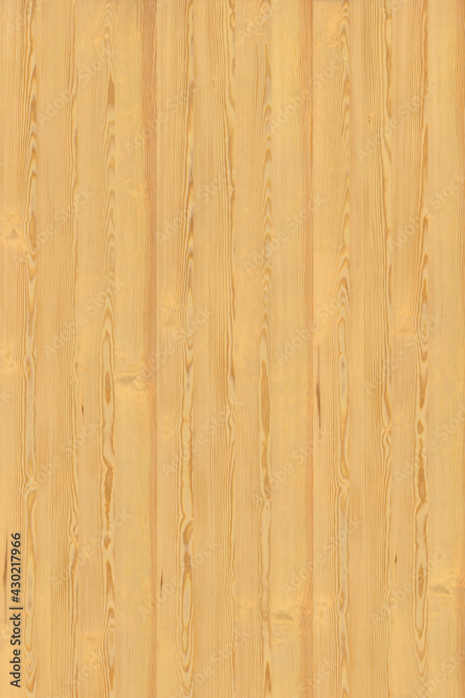Fototapeta premium brown pine tree wood structure texture background pattern