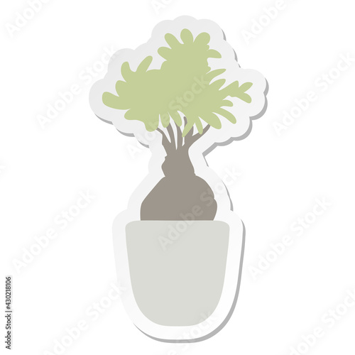 bonsai tree sticker