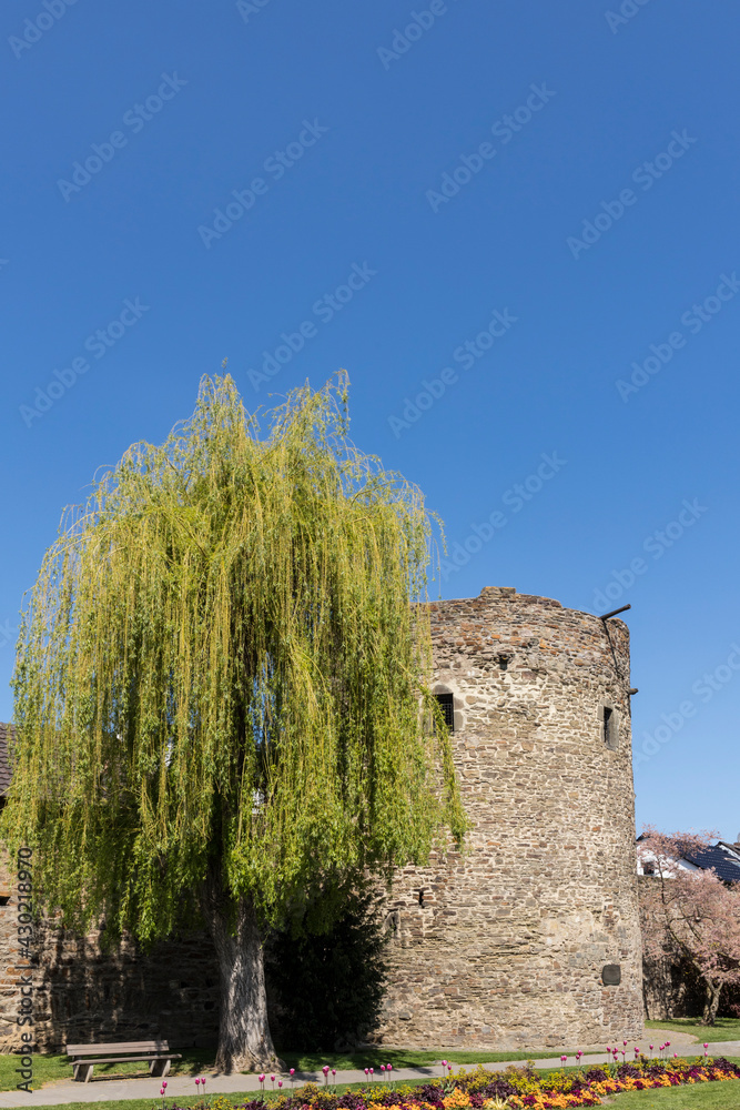 Stadtmauer von Ahrweiler mit Kanonenturm