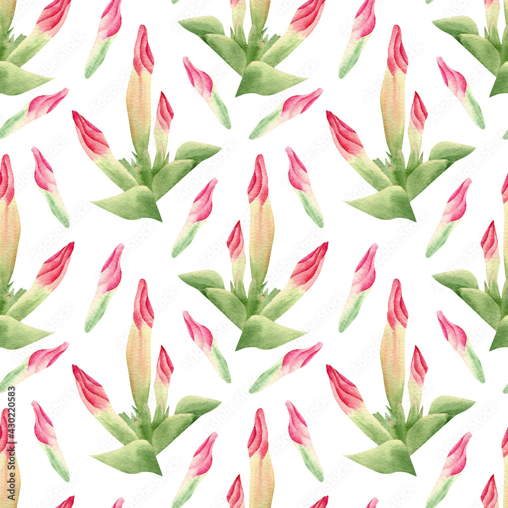 Seamless tropical flowers pattern. Botanical illustration with pink flower, petal, leaves Seamless tropical flowers pattern. Botanical illustration with pink flower, petal, leaves