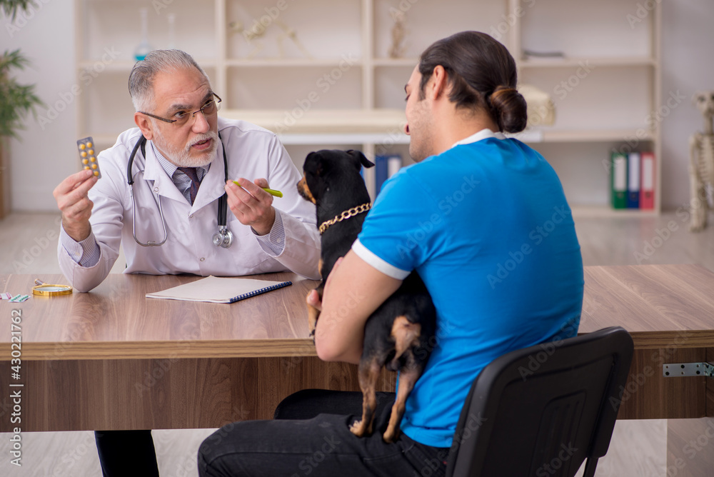 Obraz premium Old male vet doctor examining dog in the clinic