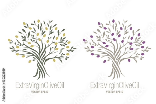 Olive Tree. Extra virgin olive oil symbol. Symbol of culture and Mediterranean food isolated on white background