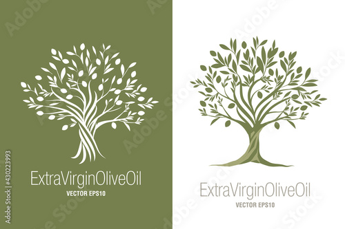 Olive Tree. Extra virgin olive oil symbol. Symbol of culture and Mediterranean food isolated on white background photo
