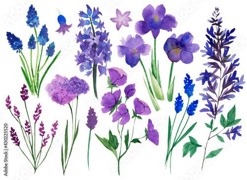 set of watercolor illustrations spring wildflowers isolated on white background. lilac  irises  lavender  hyacinth  crocs. spring clipart