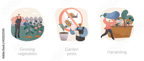 Home gardening abstract concept vector illustrations.