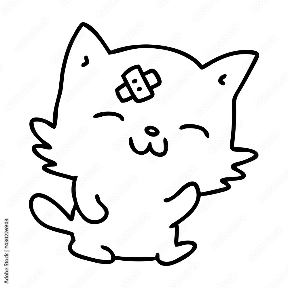 cat with sticking plaster on forehead cat with sticking plaster on forehead