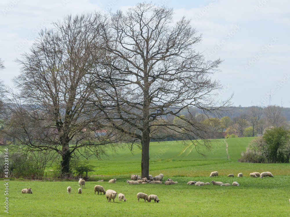 Das Dorf Darfeld in den Baumbergen Das Dorf Darfeld in den Baumbergen