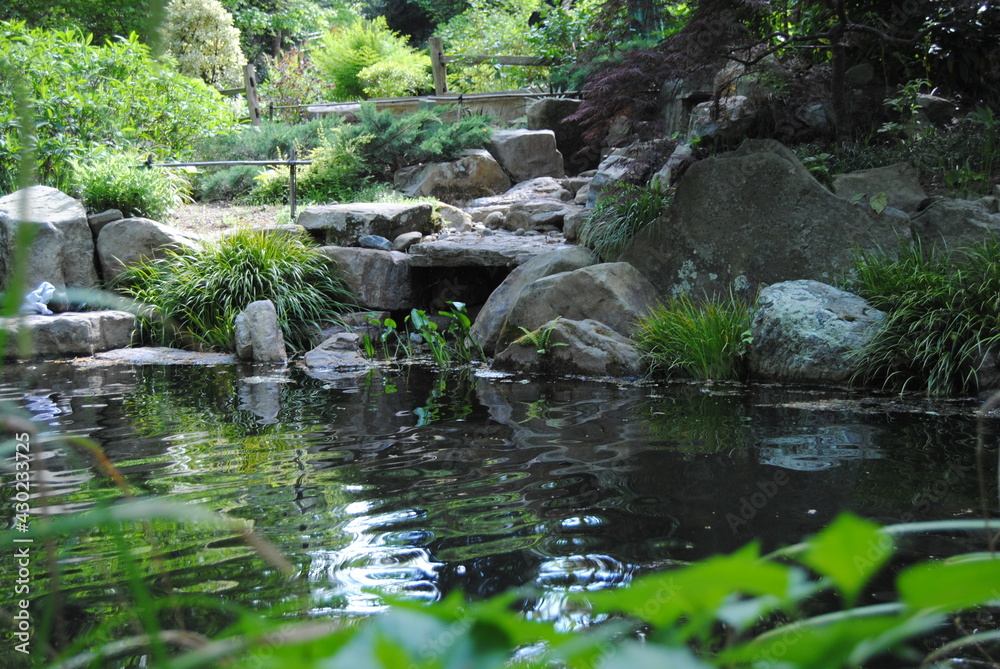 Calm Rock Pond Calm Rock Pond