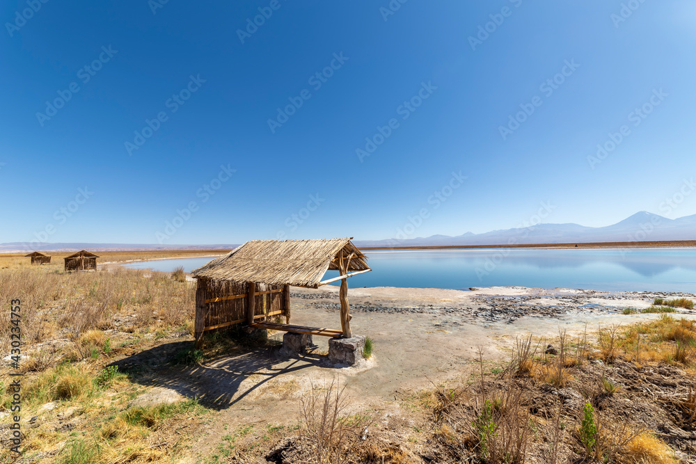 Fototapeta premium View of the Laguna Lagoon Cejar, Chile