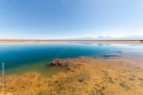 View of the Laguna Lagoon Cejar  Chile