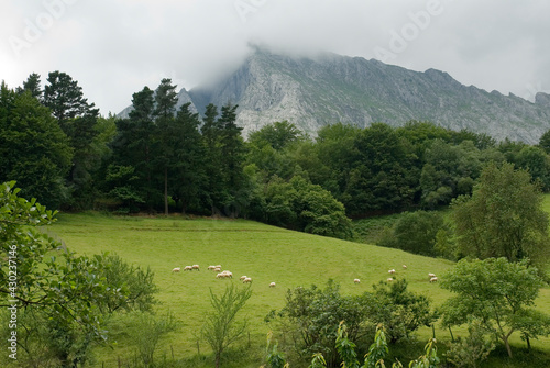 Fototapeta Naklejka Na Ścianę i Meble -  Landscape with sheep under Mount Anboto. Urkiola Natural Park. Bizkaia. Basque Country. Spain