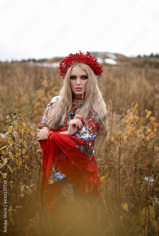 A beautiful Slavic girl with long blond hair and blue eyes with a flower  crown in a white and red embroidered suit in a field. Traditional Slavic  clothing. Stock Photo | Adobe