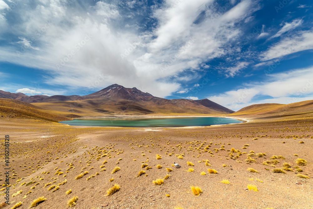Miniques Lagoon in the Atacama Desert, Chile