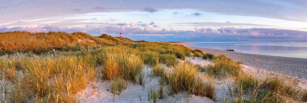 Dune landscape at the North Sea coast on Sylt, Schleswig-Holstein, Germany
