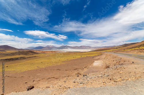 Tuyajto Lagoon in the Atacama Desert  Chile  South America.