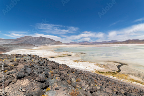 Tuyajto Lagoon in the Atacama Desert, Chile, South America. photo