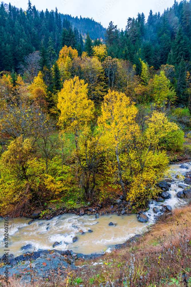 Maden Village with autumn colours in Savsat