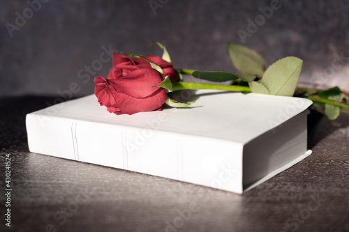 Fotografija red rose on white holy bible, funeral concept, banner