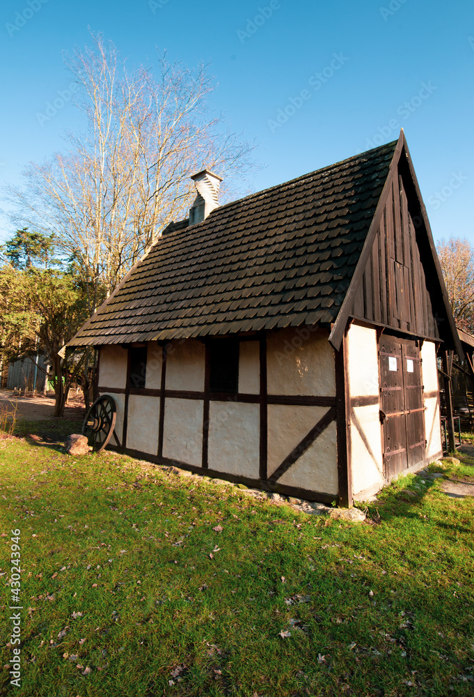 Medieval village in Denmark