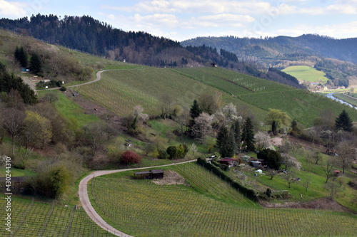 Grüne Berge in Gegenbach im Schwarzwald photo