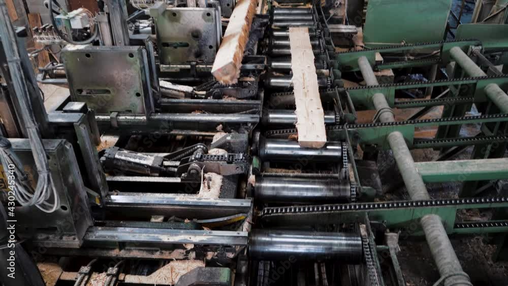 Machine scierie découpeuse de bois de foret géante