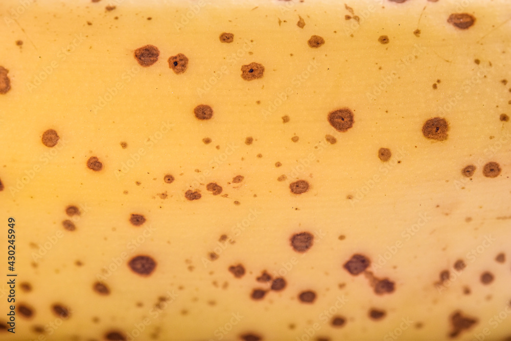 Textura de casca de banana. 