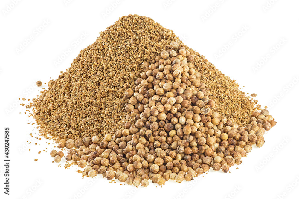 Close up of seeds and powder of coriander spice isolated on a white background Close up of seeds and powder of coriander spice isolated on a white background
