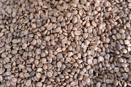 Raw coffee  coffee bean  delicious  caffeine  uncooked stock photo