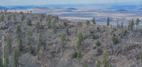 Beautiful view of the high altitude in Apache Sitgreaves National Forest on the White Mountains, Arizona photo