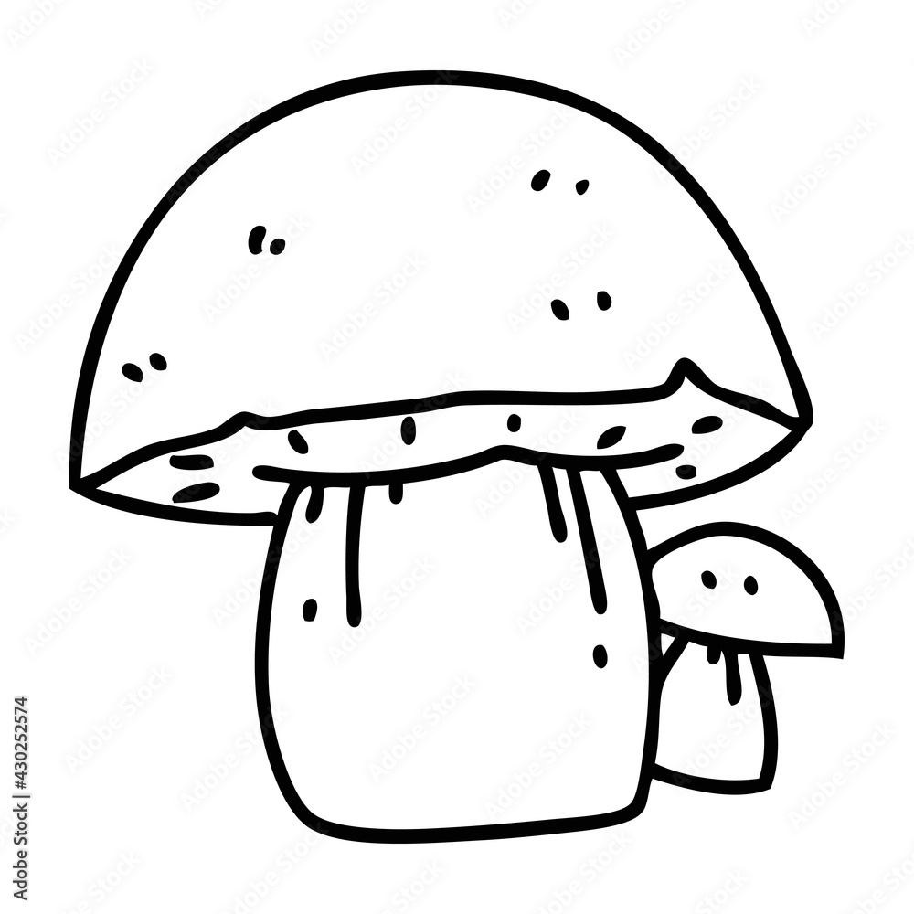 wild mushroom wild mushroom