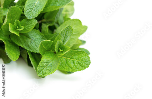 Bunch of fresh green mint on a white background. Space for text.
