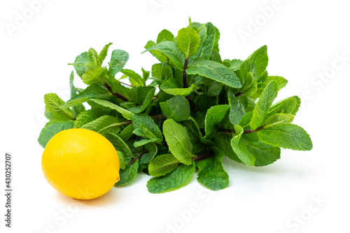 Yellow lemons and fresh green mint on a white background. Place for your text.