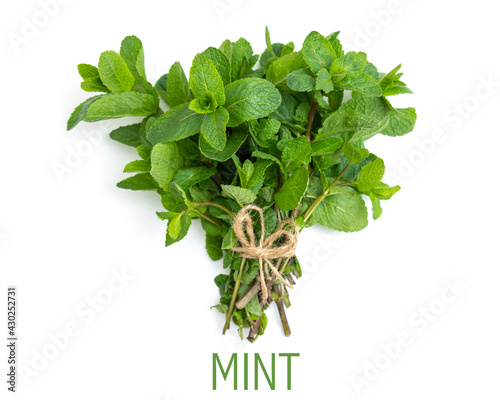 Bunch of fresh green mint on a white background.