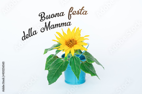 Fototapeta Naklejka Na Ścianę i Meble -  Happy Mother day text in italian flower composition Greeting Card	
