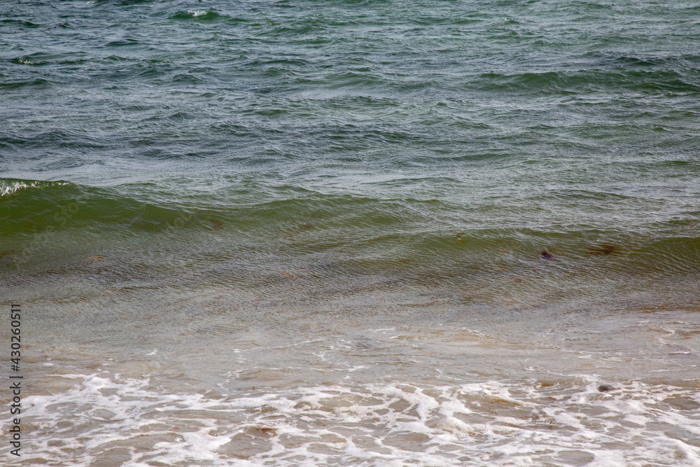 Ocean Ocean