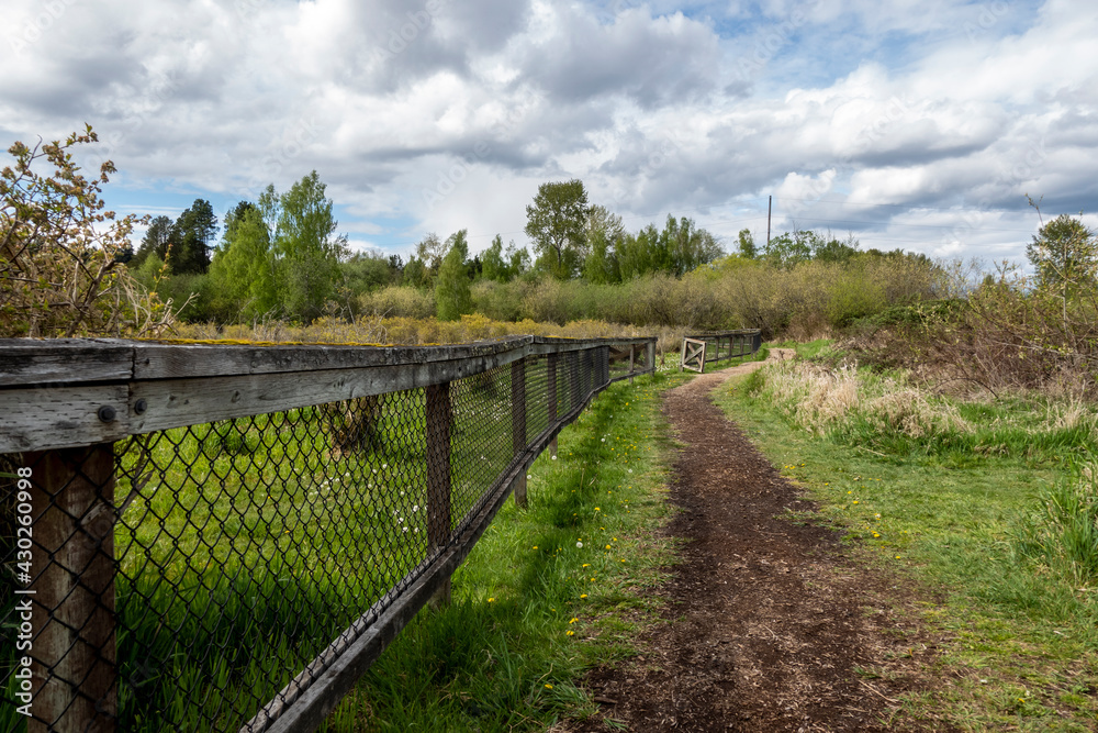 Fototapeta premium view of a dirt path by a wooden fenced in farm on a cloud filled, sunny day