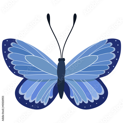 Beautifull blue cartoon butterfly Vector