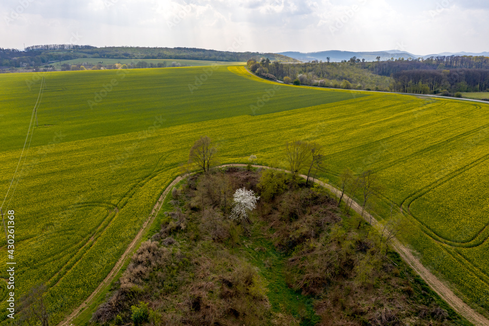 Green fields with blue sky, spring and summer colors Green fields with blue sky, spring and summer colors