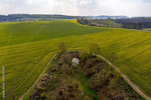 Green fields with blue sky, spring and summer colors