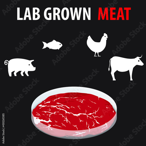 Lab Grown Cultered Synthetic Meat Infrographic Sustainability Climate Change Beef Pork Fish Poultry Animal Icon