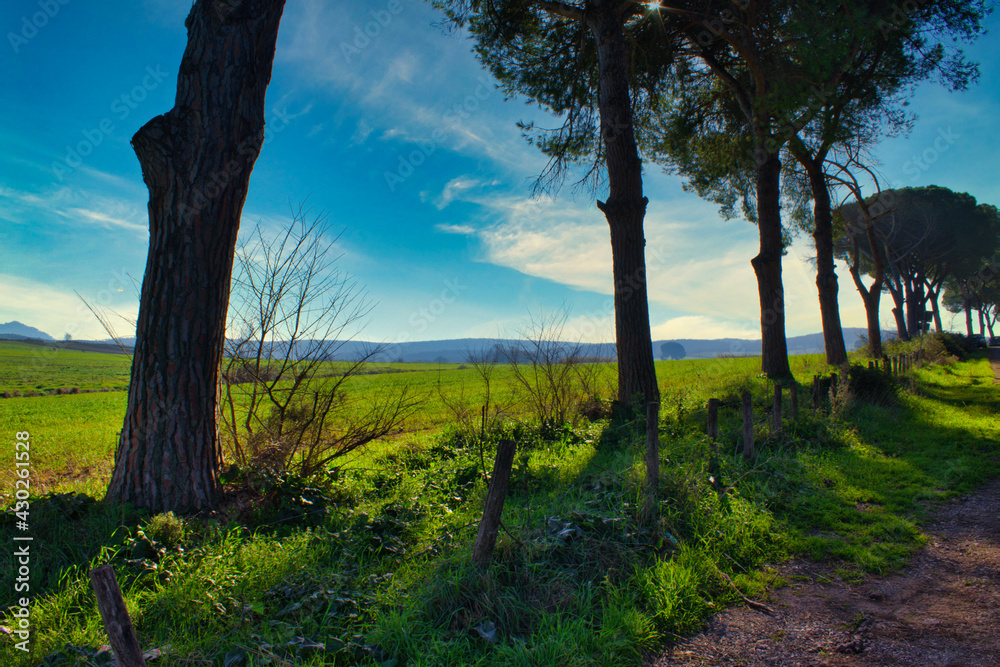 sunset in the mountains
