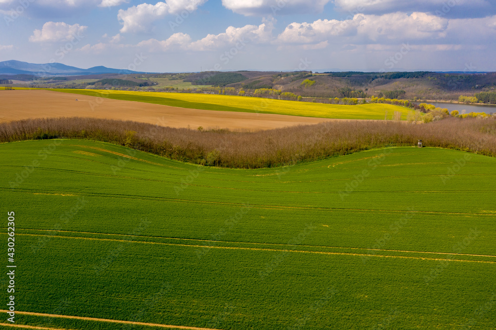 Green fields with blue sky, spring and summer colors Green fields with blue sky, spring and summer colors
