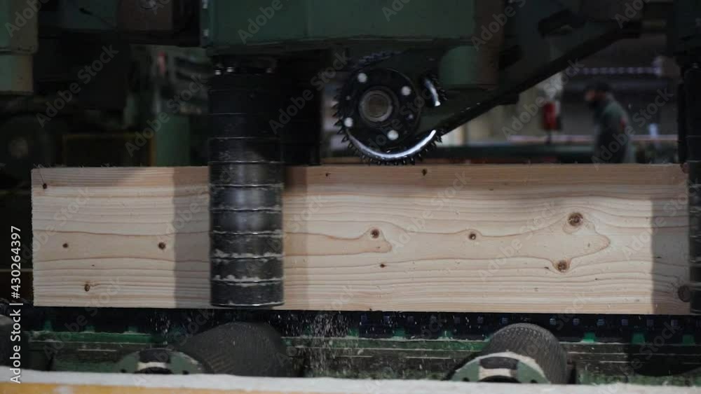 buche de bois sur tapis roulant pour taillage dans une scierie 