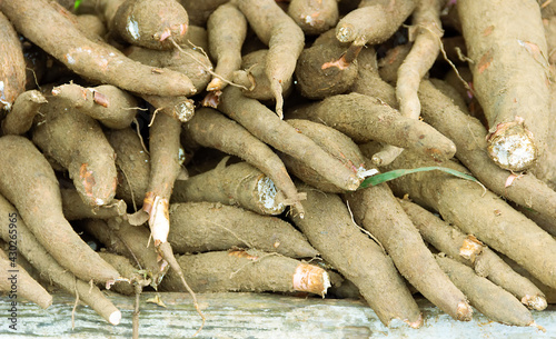 Vegetables and fruits from Sri Lanka markets
