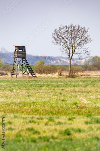 Wooden hunting observation tower in the meadow. Photo taken at noon, soft light scattered by a thin layer of clouds.