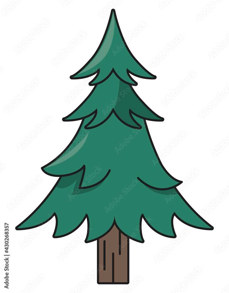 Fototapeta premium pine tree plant