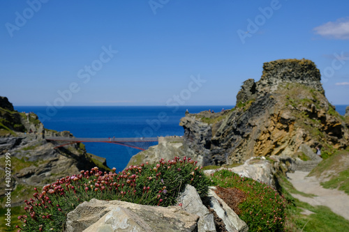 Coastal flowers on path with Tinagel Bridge out of focus in the background.