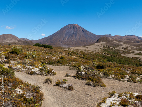 Vulcanic Tongariro National Park photo