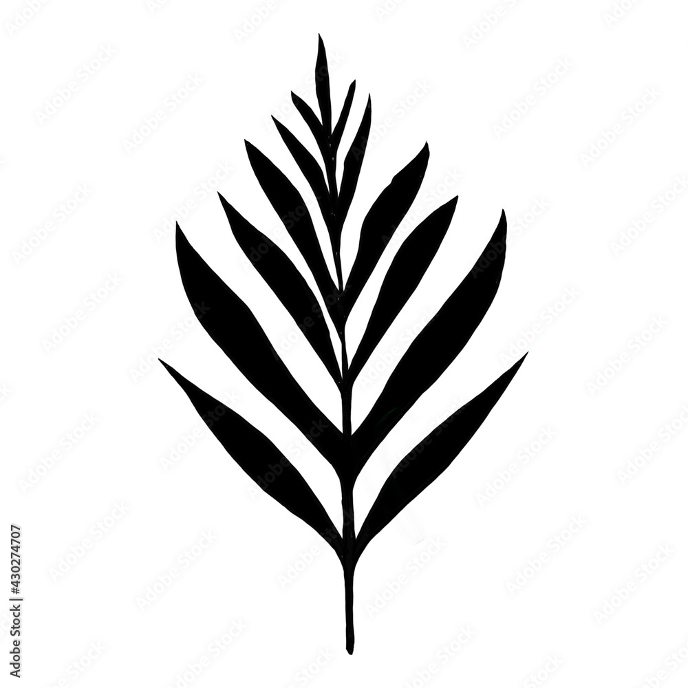 Leaves in black and white Leaves in black and white